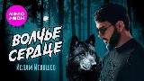 Video cover Волчье сердце