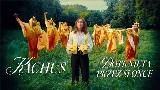 Video cover Dotknięta przez słońce
