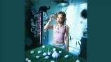 Video cover 花 - 伴奏