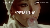 Video cover Pemula