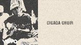 Video cover Cicada Choir