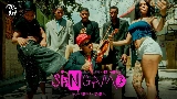 Video cover SINGAMO