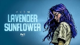 Video cover Lavender Sunflower