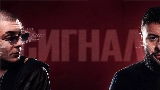 Video cover Сигнал