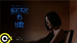Video cover 要死不死的情歌