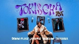 Video cover Tokischa RMX