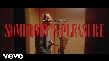 Video cover Somebody's Pleasure