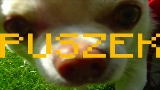 Video cover TO PIPY