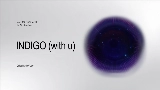 Video cover INDIGO (with u)