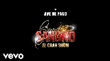 Video cover Ave de Paso