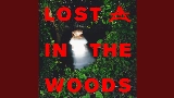 Video cover Lost In The Woods