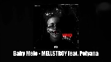 Video cover MELLSTROY