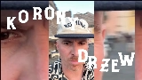 Video cover Korony drzew
