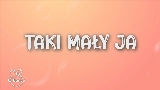 Video cover taki mały ja