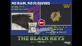 Video cover No Rain, No Flowers