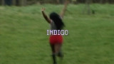 Video cover Indigo