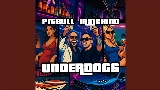 Video cover Borracho Y Loco