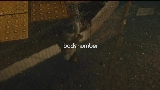 Video cover 水平線