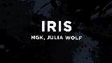 Video cover iris