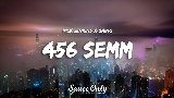 Video cover 456 semm