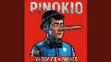 Video cover PINOKIO