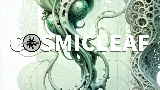 Video cover World of fungi