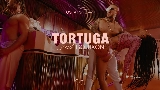 Video cover Tortuga