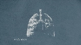 Video cover płuca
