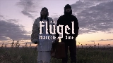 Video cover Flügel