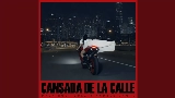 Video cover Cansada De La Calle