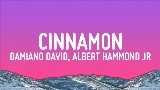 Video cover Cinnamon (feat. Albert Hammond Jr)