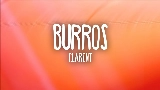 Video cover BURROS