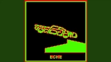 Video cover ECHE