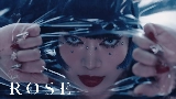 Video cover ROSE