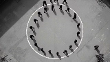 Video cover Contact