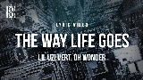 Video cover The Way Life Goes