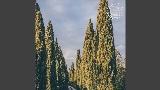Video cover Vinho Verde