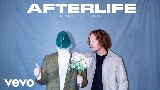 Video cover Afterlife