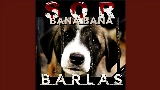 Video cover Sor Bana Bana