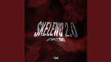 Video cover SKELEWU 2.0