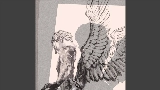 Video cover Fallen Angel