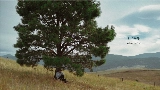 Video cover Daylight